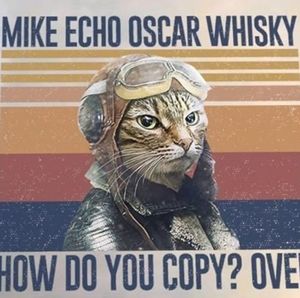 Meet your Posher, Debi